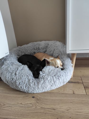 Customer photo review of Lit Apaisant Comfy® |  Pour Chien et Chat