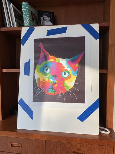 Customer photo review of Custom Pop Art Portrait