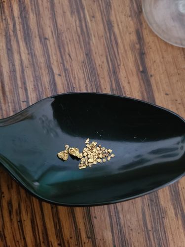 Customer photo review of *New* MAMMOTH 'TROY OUNCE NUGGET HUNT' Gold Paydirt - Gold Paydirt Concentrate