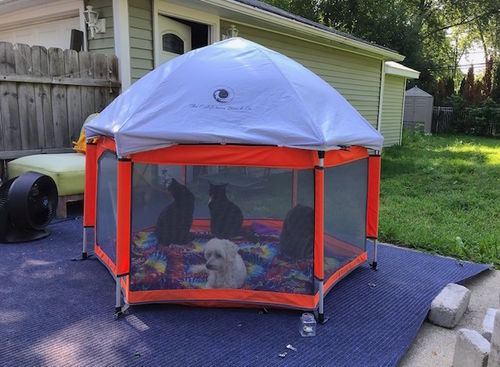 Customer photo review of Pop N' Go® Playpen