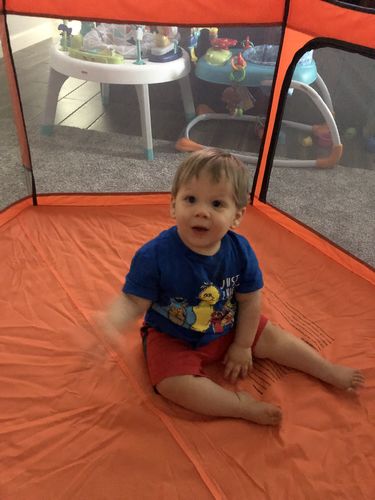 Customer photo review of Pop N' Go® Playpen