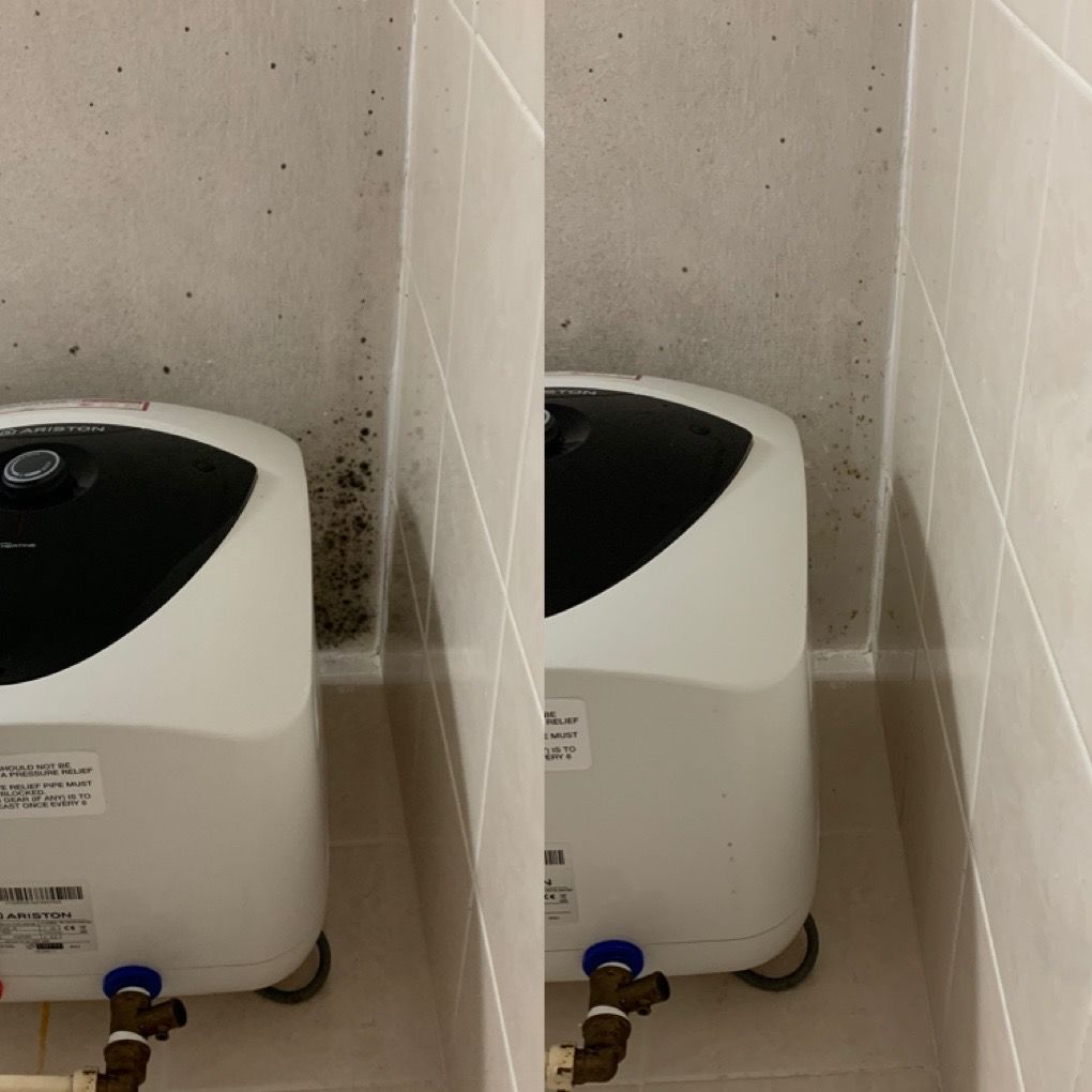 Customer photo review of Gong100 Mold Remover Gel