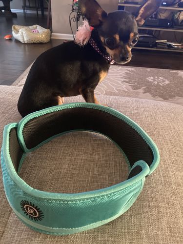 Customer photo review of Sommer Ray Hevia™ Resistance Band and Functional Sleeve - Single