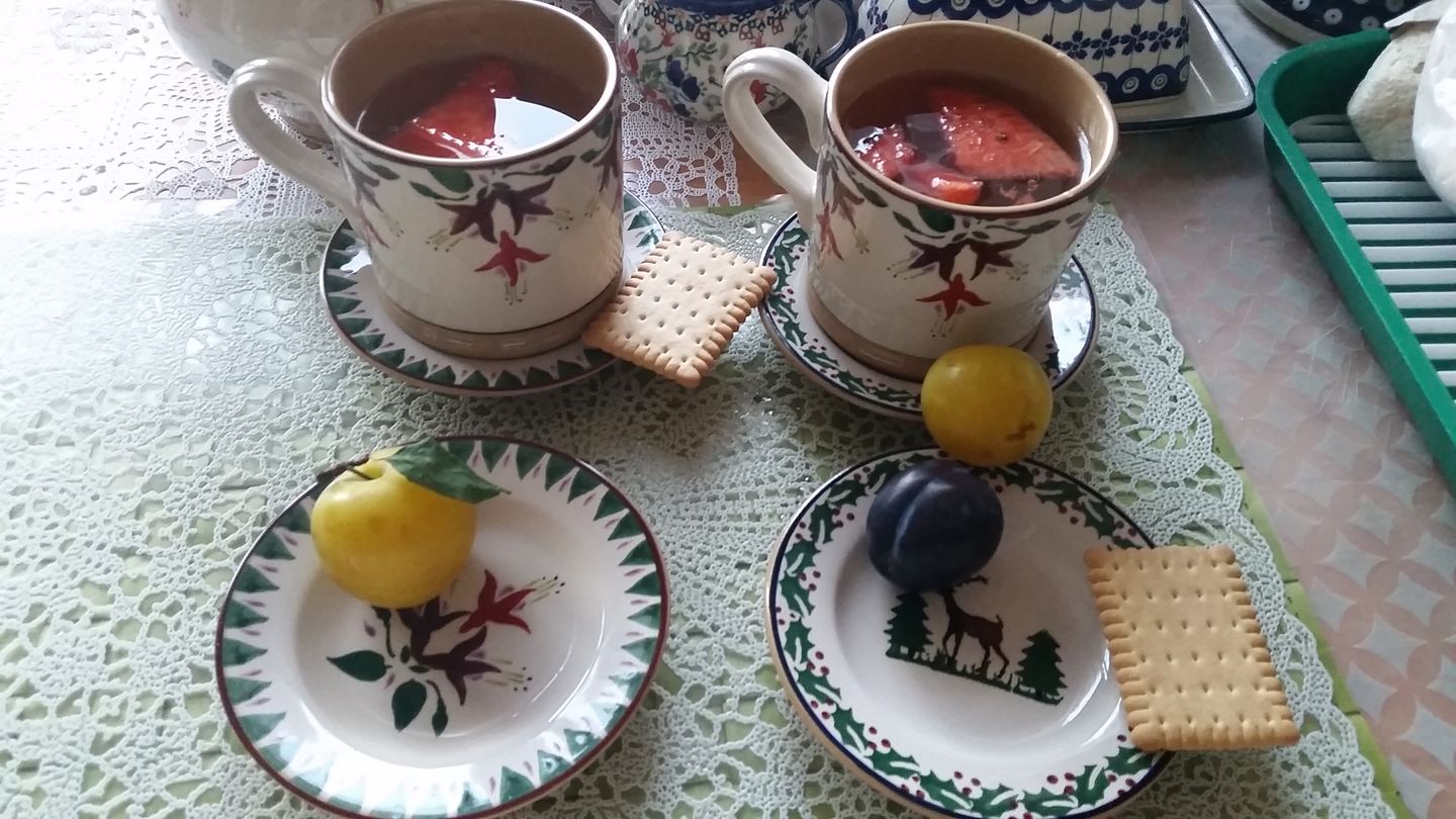 Customer photo review of Tiny Plate Fuchsia