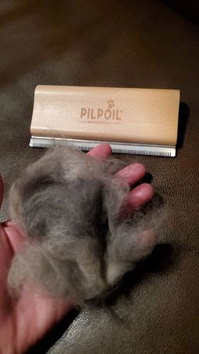 Customer photo review of Brosse Anti-Poils Chien, Chat, Cheval, Lapin | Original | Pilpoil®