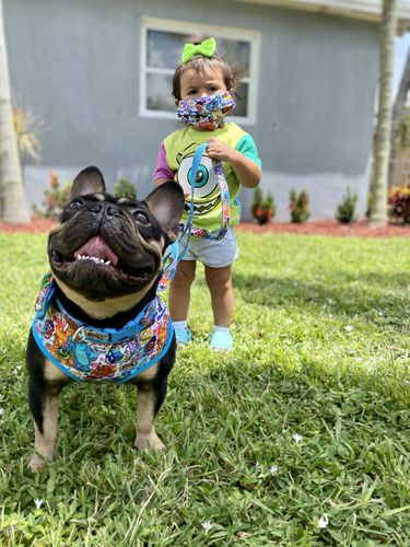 Customer photo review of Monster inc dog harness set