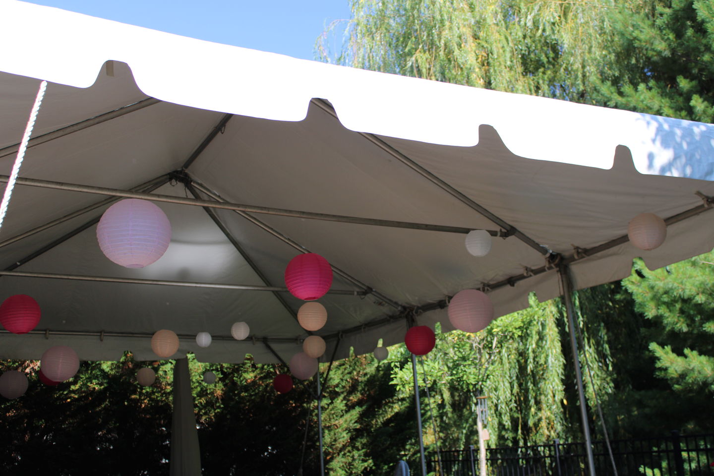 Customer photo review of Ultimate 20-Piece Pink Variety Paper Lantern Party Pack - Assorted Sizes of 6", 8", 10", 12" (5 Round Lanterns Each) for Weddings, Events and Decor