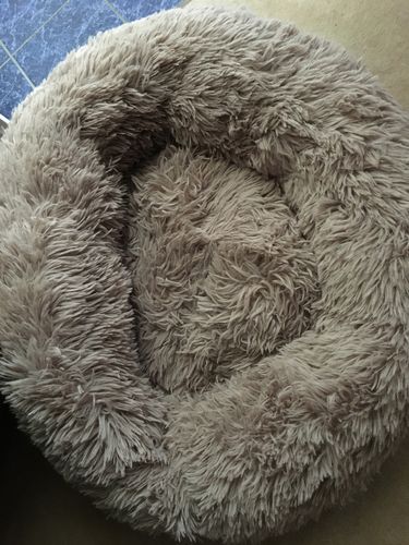 Customer photo review of Lit Apaisant Comfy® |  Pour Chien et Chat