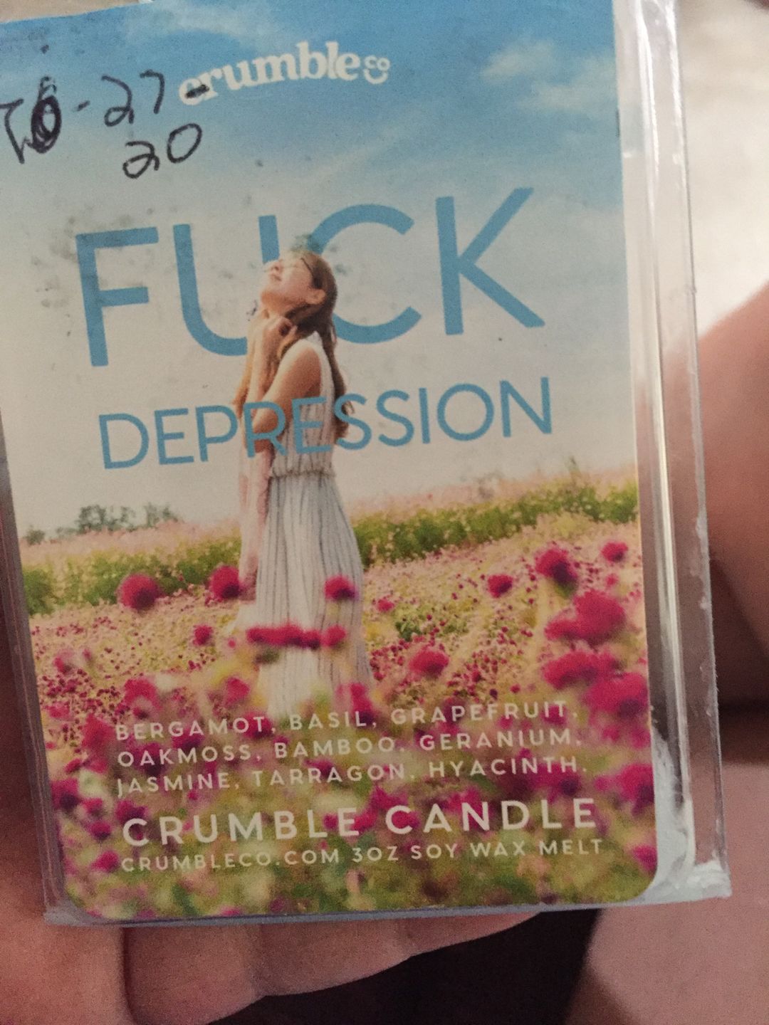Customer photo review of Fuck Depression Wax Melts