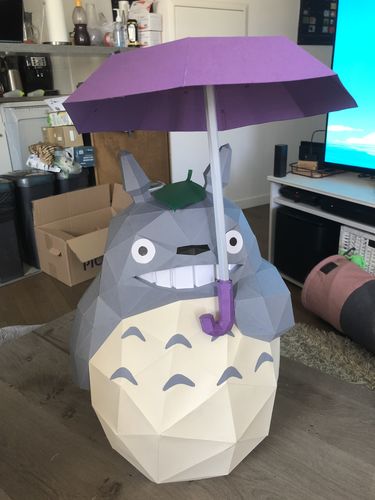 Customer photo review of Totoro