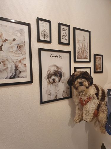 Customer photo review of Individuelles Haustierporträt - Posterdruck