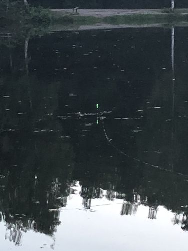 Customer photo review of 10g Smart Fishing Float