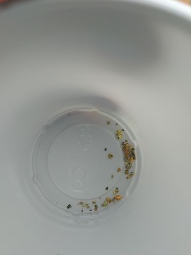 Customer photo review of *BOGO* Pioneer '2 OUNCE NUGGET HUNT' - Gold Panning Paydirt Concentrate