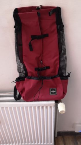 Customer photo review of Petyfy™ Dog-Bag for Large Dogs