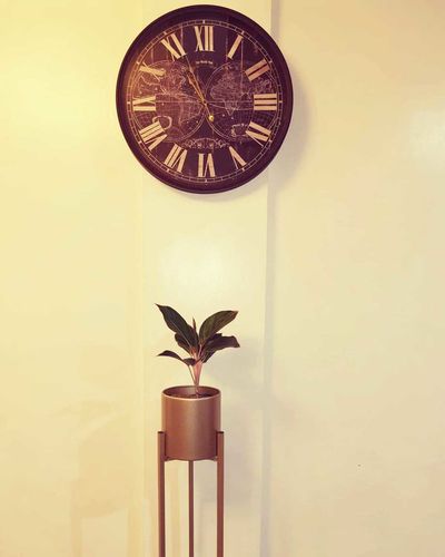Review photo 1 by Mary Joy P.