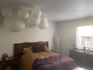 Customer photo review of 20" Beige / Ivory Round Paper Lantern, Even Ribbing, Chinese Hanging Wedding & Party Decoration