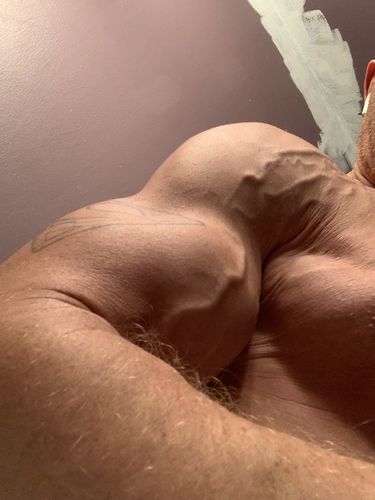 Customer photo review of PR Accessories Bundle (Arm Blaster, Elbow Wraps, Wrist Wraps, Lifting Straps)- Black