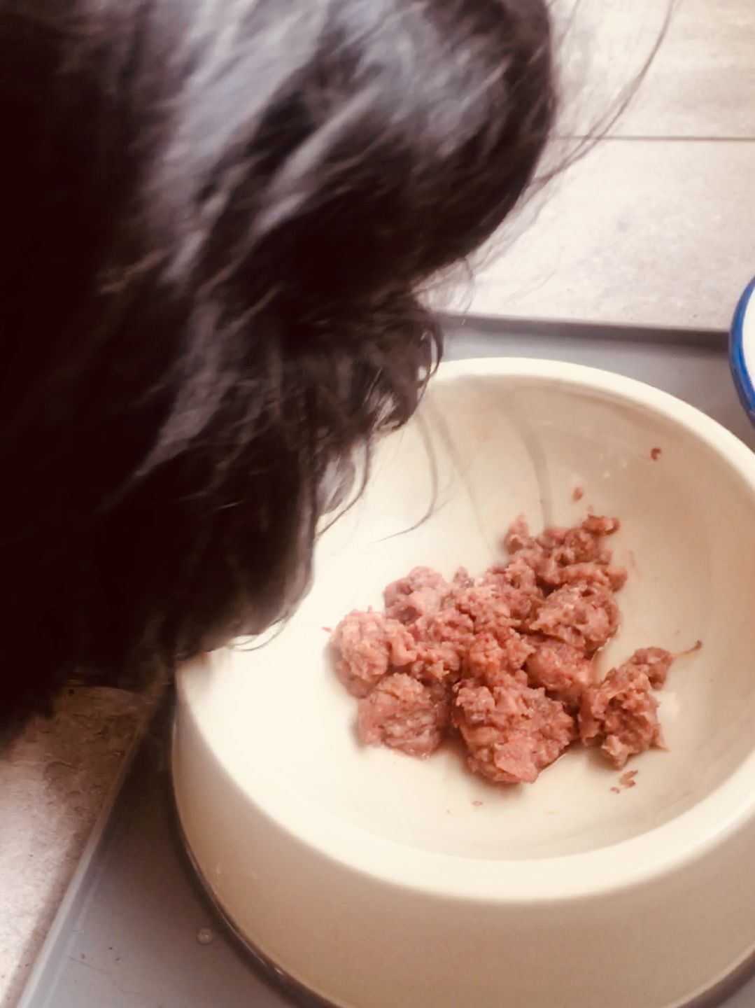 Customer photo review of NutriDog Starter-Box - 3 Sorten in 200g Portionen