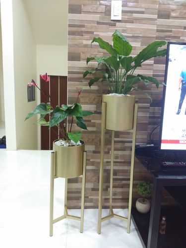 Review photo 1 by Aida D.