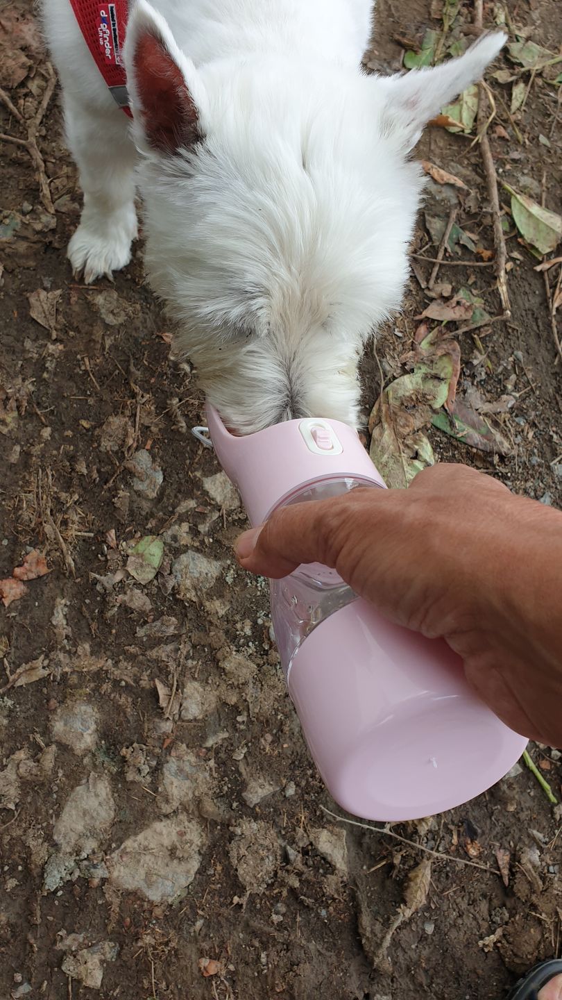 Customer photo review of Hunde Trinkflasche inkl. Futterbehälter