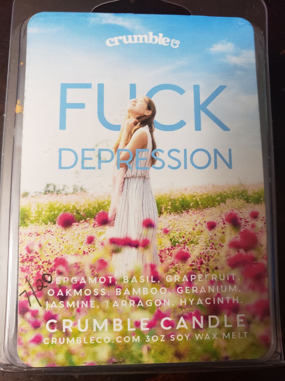 Customer photo review of Fuck Depression Wax Melts