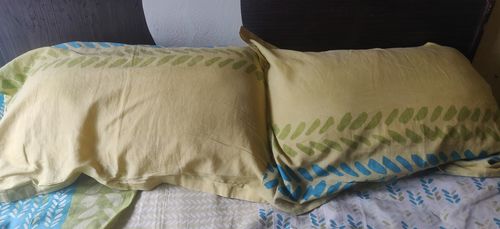 hush standard pillow