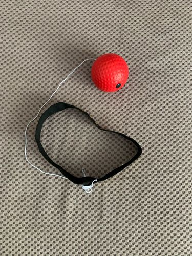 Customer photo review of Boxing Ball