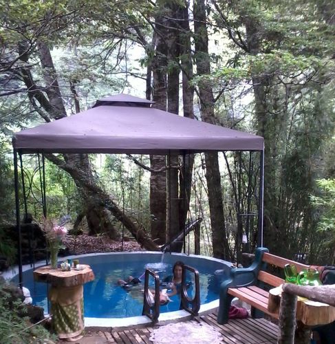 Customer photo review of Reforestemos