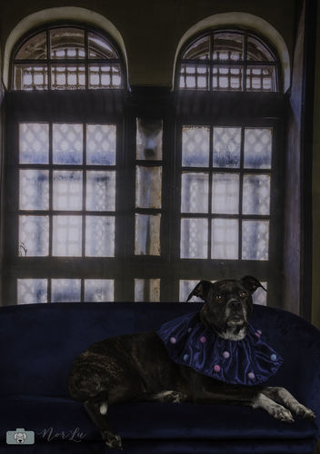 Customer photo review of Kate Retro Window Backdrop Designed by Emetselch