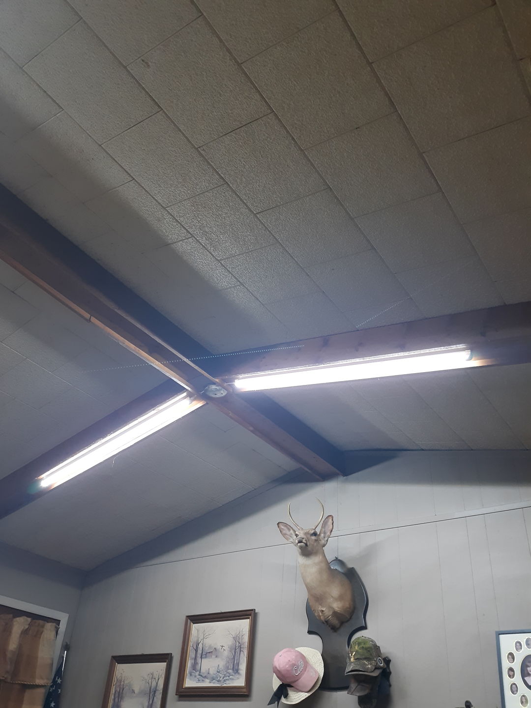 Customer photo review of Linkable LED Shop Lights, T8 8ft V Shape LED Tube Light 60W Integrated 6500K Clear, ETL Certification