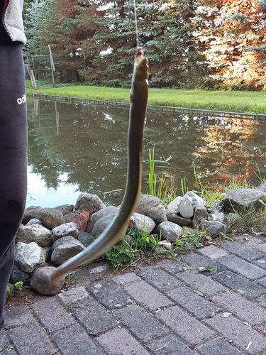 Customer photo review of 10g Smart Fishing Float