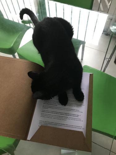 Customer photo review of Archivo Cenizas (Analógico)