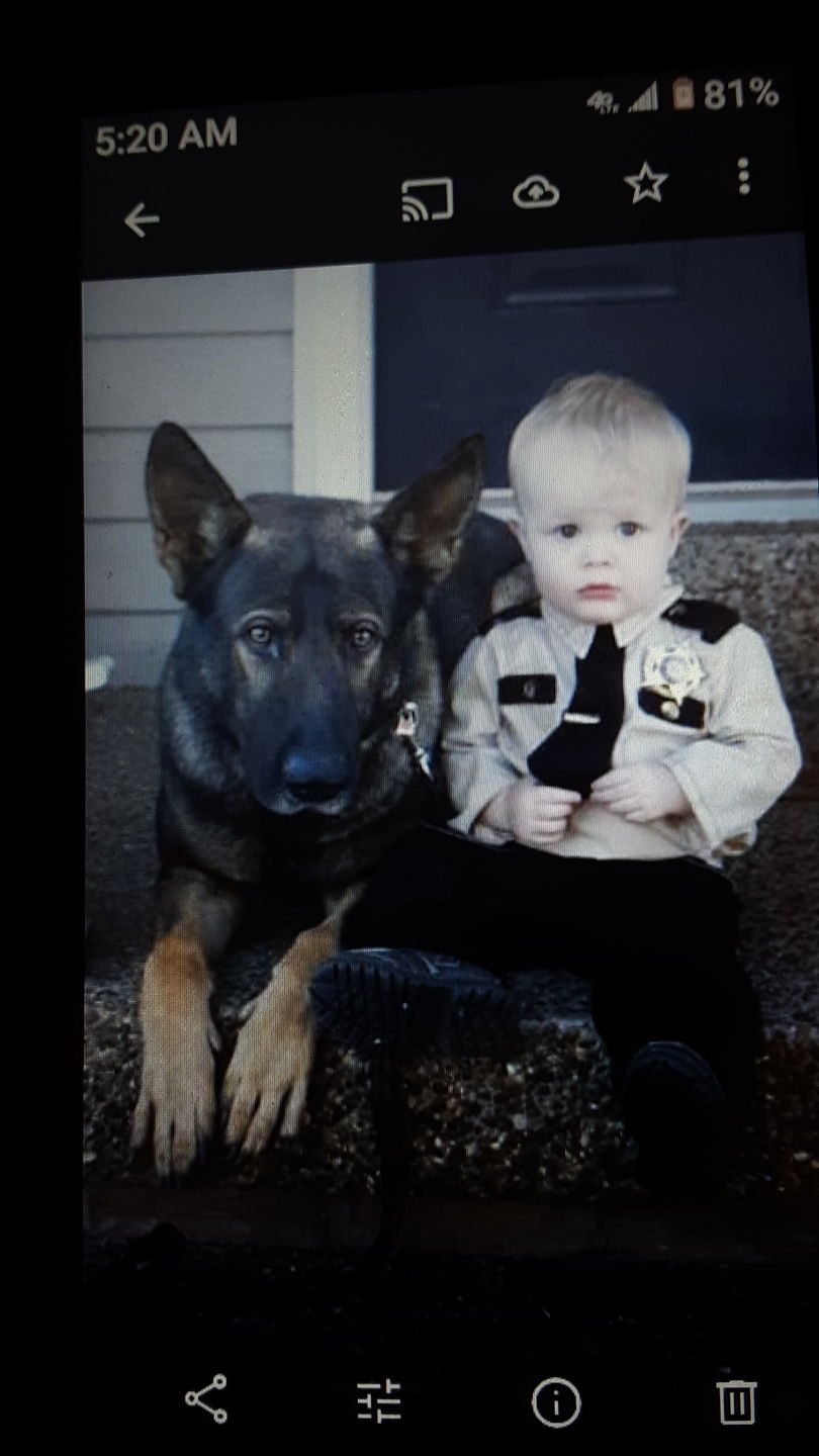 Customer photo review of K-9 Veteran Pin