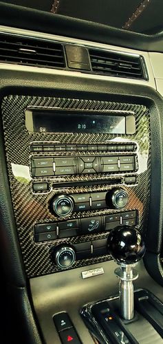 Customer photo review of DynaCarbon™ Multimedia Dash Trim For Ford Mustang 2010-2014