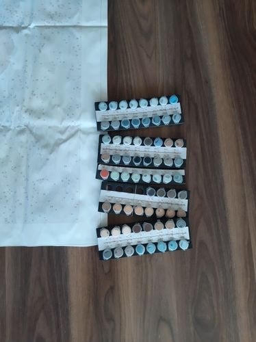 Customer photo review of Custom Paint By Numbers Kit - Upload Your Photo - Brush Set Included