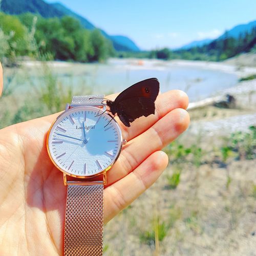 Customer photo review of California Edition Limited
