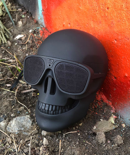 Customer photo review of Just Love Skulls Speaker