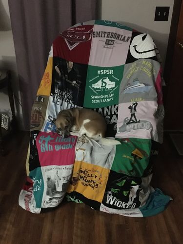 T-shirt quilt with outdoor activities, theater themes by Jennifer from KS