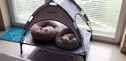 Customer photo review of Lit Apaisant Comfy® |  Pour Chien et Chat