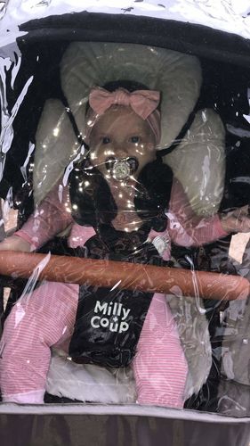 Customer photo review of A Luxury Pacifier™