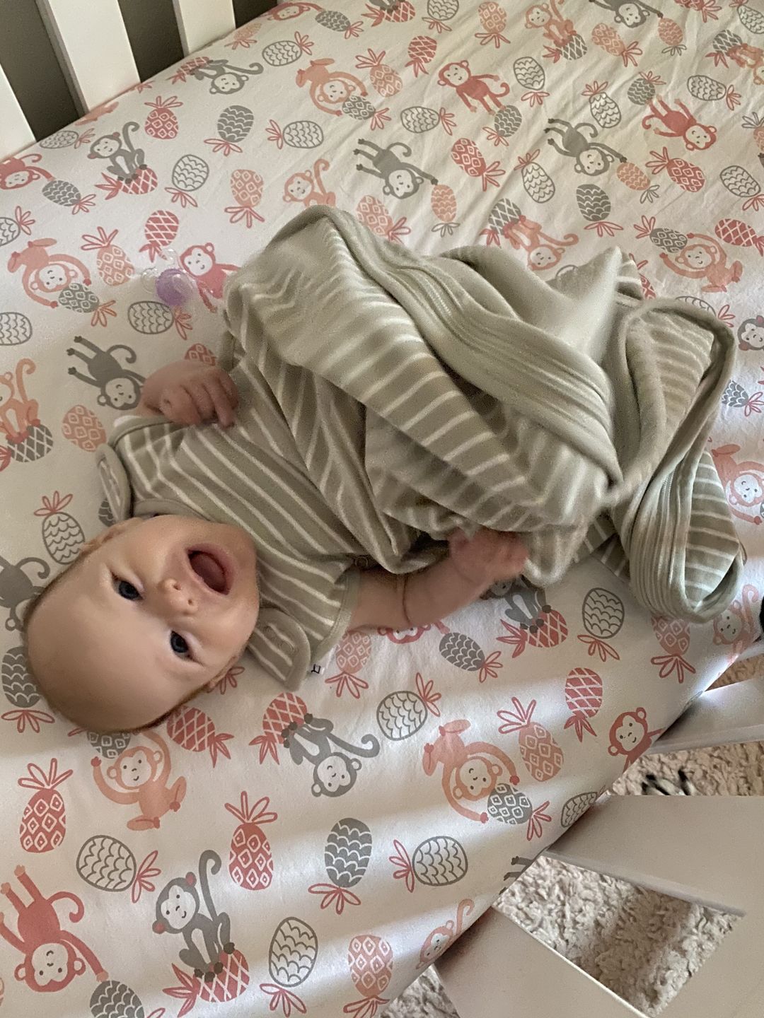 Customer photo review of Kookaburra Wool Wash with Lavender (16-Ounce)