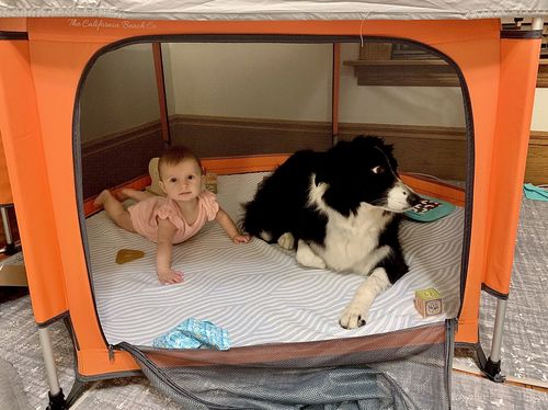 Customer photo review of Pop N' Go® Mattress Cover