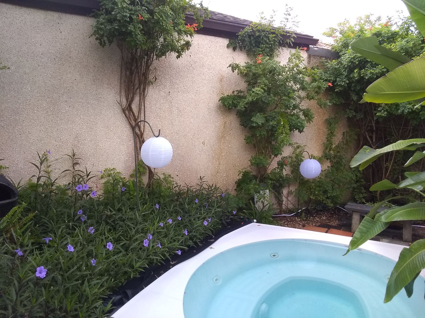 Customer photo review of 12" White Shimmering Nylon Lantern, Even Ribbing, Durable, Hanging