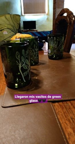 Customer photo review of Reforestemos