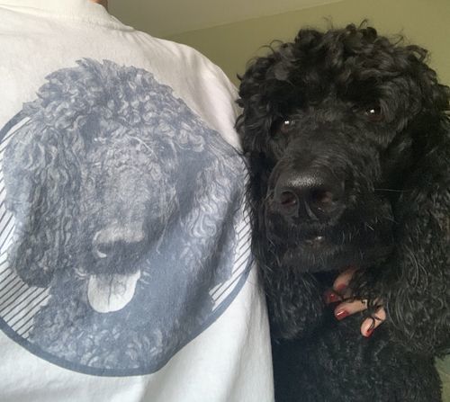 Human of Beloved Pet Customized T-shirt photo review