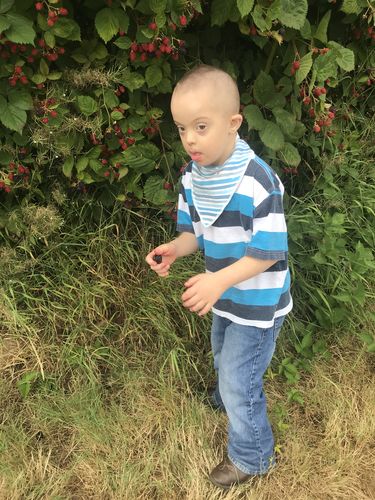 Customer photo review of Simple Spectrum Nutritional Support Supplement