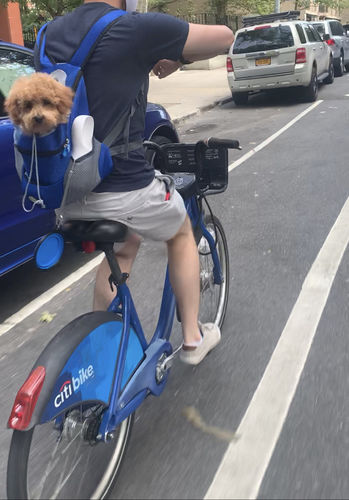 Customer photo review of Petyfy™ Dog Backpack + Lifetime Warranty!