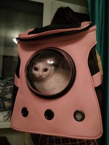 Customer photo review of TheCatBag™ - Katten Rugtas