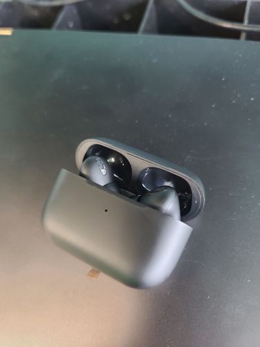 Customer photo review of Black Pods Pro