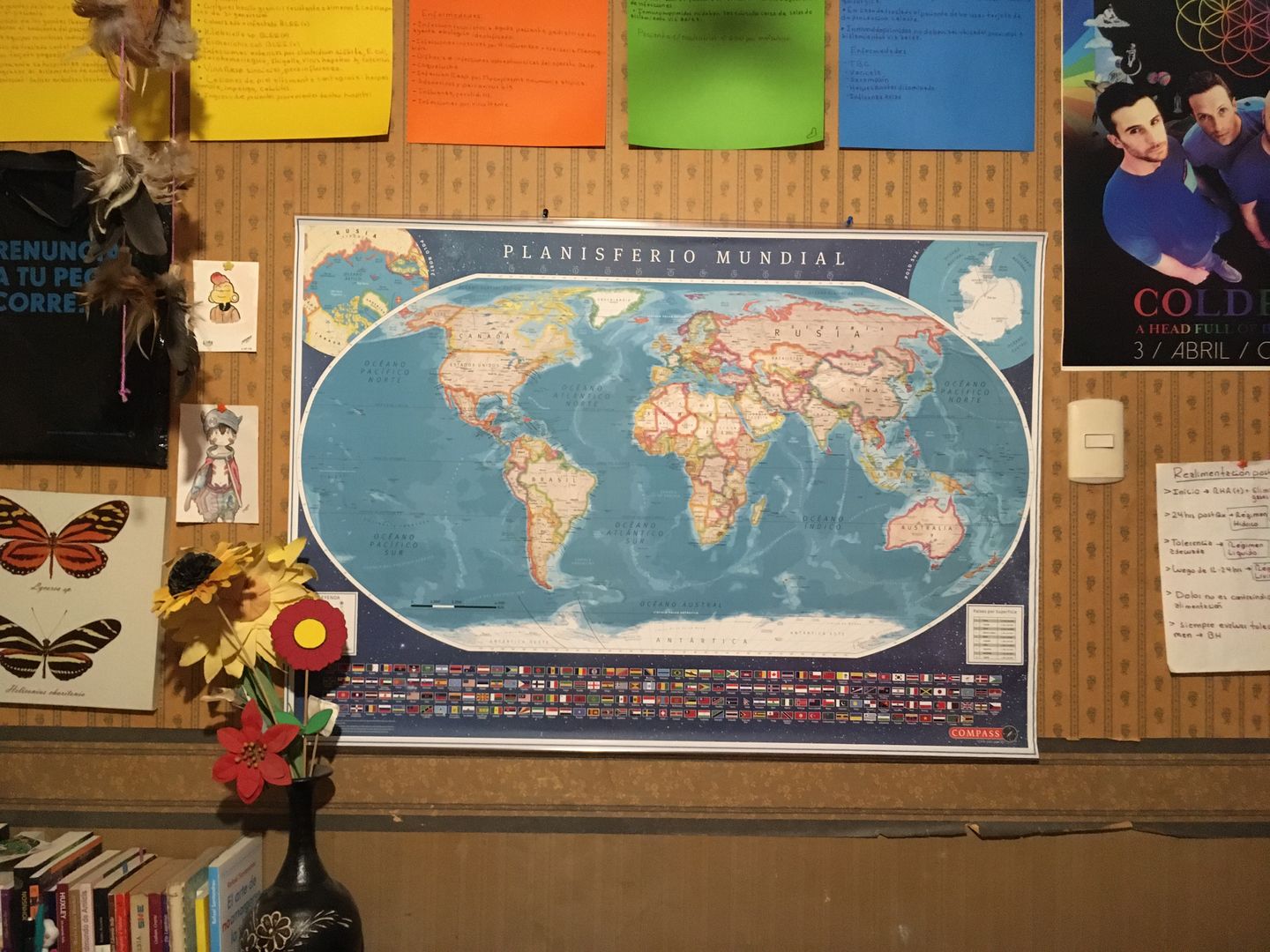 Customer photo review of Mapa del Mundo Político con Banderas y Europa 2020 - Lámina